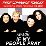 If My People Pray (Performance Tracks)