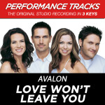 Love Won't Leave You (Performance Tracks)