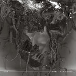 More Than Bones, album by Demon Hunter