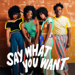 Say What You Want (I Like Who I Am), album by The New Respects