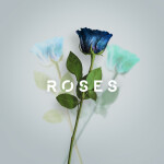Roses, album by Sajan Nauriyal, Matthew Parker