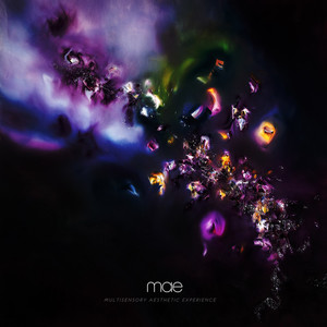 Multisensory Aesthetic Experience, альбом Mae