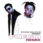Fuego (Remix), album by Steven Malcolm