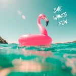 She Wants Fun, album by Paul Wright
