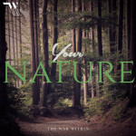 Your Nature, album by The War Within