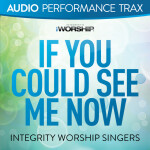 If You Could See Me Now (Audio Performance Trax), альбом Integrity Worship Singers