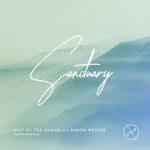 Sanctuary (Instrumentals), album by Salt Of The Sound, Simon Wester