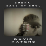 Gonna Save My Soul, album by David Vaters