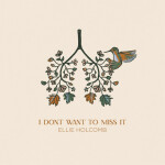 I Don't Want To Miss It, album by Ellie Holcomb
