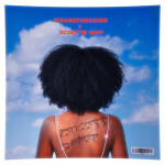 Reckless Summer, album by Scootie Wop