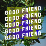 Good Friend, альбом Switch