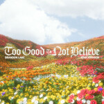 Too Good To Not Believe (Radio Version), album by Jenn Johnson, Brandon Lake
