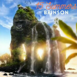 15 Summers, album by Brinson