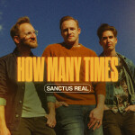 How Many Times, album by Sanctus Real