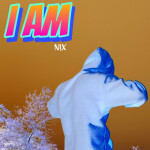 I AM, album by N!x