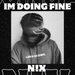 I'M DOING FINE, album by N!x