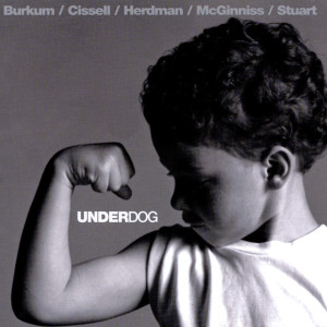 Underdog, album by Audio Adrenaline