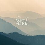 Speak Life, album by Simon Wester