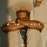 All That She Wrote, album by N!x