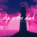 Ship in the Dark, album by Trella