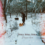 Still Still Still, album by Maggie Amini