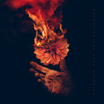 Lights & Fire, album by Wolves At The Gate