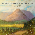 Mou, album by Brique a Braq
