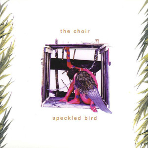 Speckled Bird, album by The Choir