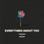 Everything About You