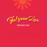 Feel Your Love, album by Stevie Rizo