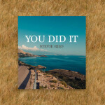 You Did It, album by Stevie Rizo