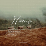 Пастырь, альбом Wolsar Worship