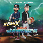 Dañar El Jangueo (Remix)