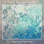 Their Future Wilderness, album by Antarctic Wastelands