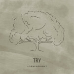 Try, альбом Josh Wright