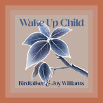 Wake Up Child, album by Joy Williams