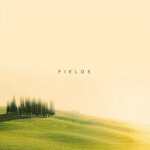 Fields, album by Simon Wester