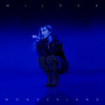 Wilder Wonderland, album by V. Rose