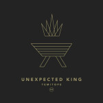 UNEXPECTED KING, album by Temitope