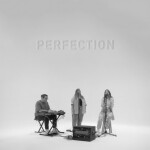 perfection (Song Session), album by Switch