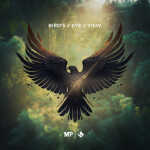 Bird's Eye View, album by Matthew Parker, Jacob Stanifer