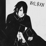 WHY?, album by Wilsxn