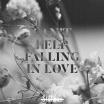 Can't Help Falling in Love, album by Stillman