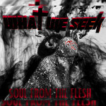 Soul From The Flesh, album by What we seek