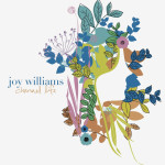 Charmed Life (Remixes) - EP, album by Joy Williams