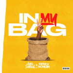 In My Bag, album by Mitch Darrell