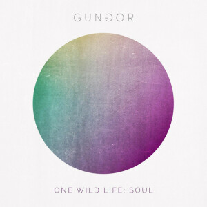 One Wild Life: Soul, album by Gungor