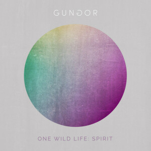 One Wild Life: Spirit, альбом Gungor