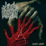 Slain Lamb, альбом Burial Extraction