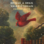Convivialité, album by Brique a Braq